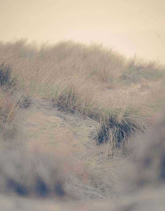 Кухонные интерьеры